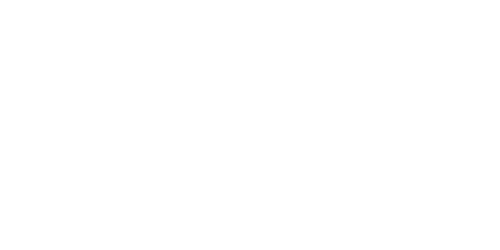 LOVENSE.png